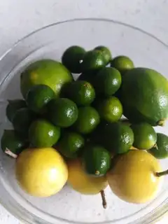 Make Lemon, gold and orange step 0