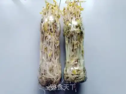 Make Green bean sprouts step 7