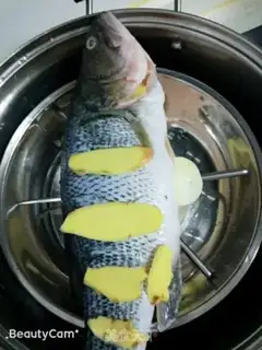 Make Pure bass step 2