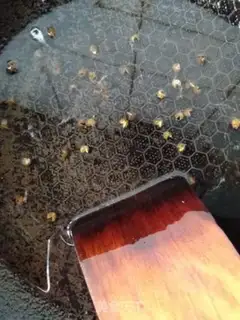 Make Twin pepper potatoes step 2