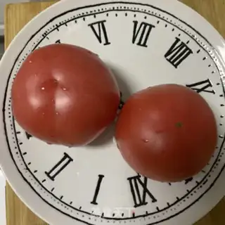 Make The Western Red Ox step 1