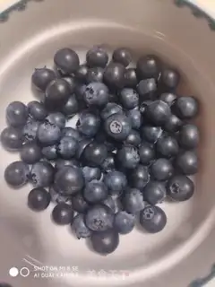 Make Blueberry yogurt cake step 0