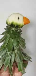 Make Pineapple fried rice - parrot version step 4