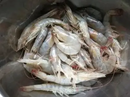 Make Beer spicy shrimp step 0