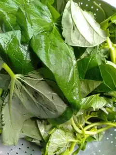 Make Clear the red potato leaves step 0