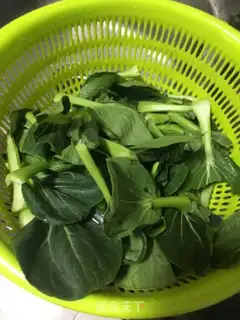 Make Shanghai