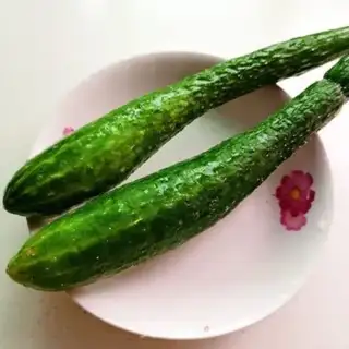 Make Wolf tooth cucumbers step 0