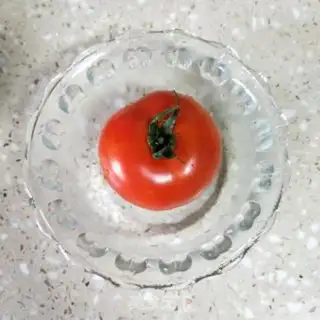 Make A mushroom fan step 6