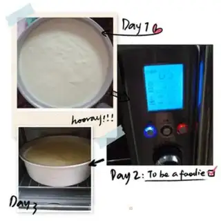 Make Ten inches of windcake step 12