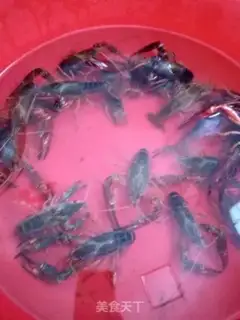 Make Shrimp step 0