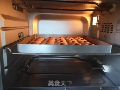 Make Apricot step 10