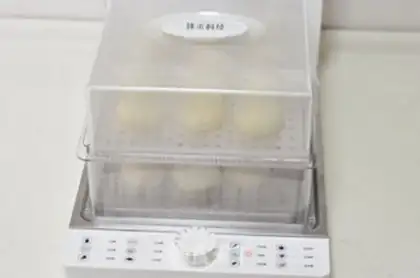 Make Plum and meat buns step 12