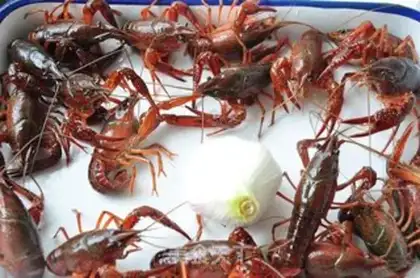Make Vacuate the lobster step 0