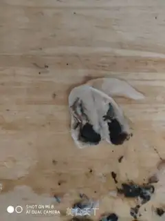 Make Pyramid step 1