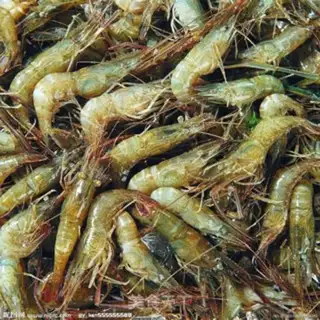 Make Shrimp step 2