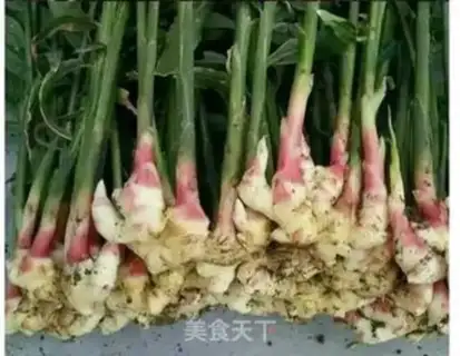 Make New green ginger step 0