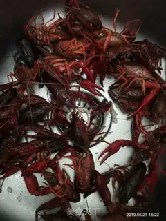 Make Spicy lobster step 0