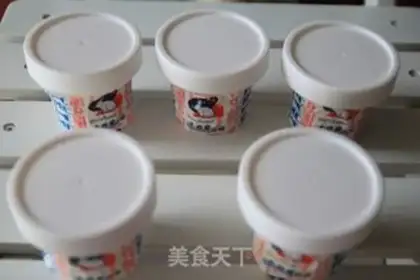 Make New Zealand Black Jell-O Chest Ice cream step 10