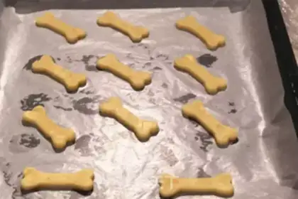 Make Bones step 4