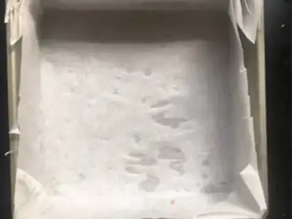 Make Flamingo yogurt step 0