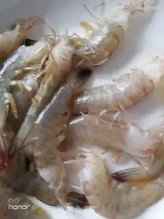 Make Shrimp saffron step 1