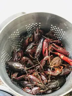Make Thirteen fragrance lobster step 0