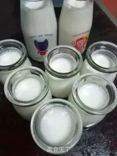 Make Homemade yogurt step 5