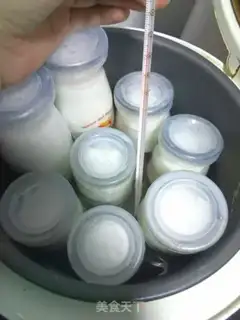 Make Homemade yogurt step 6