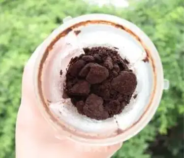 Make Red sugar, Olio ice cream step 0