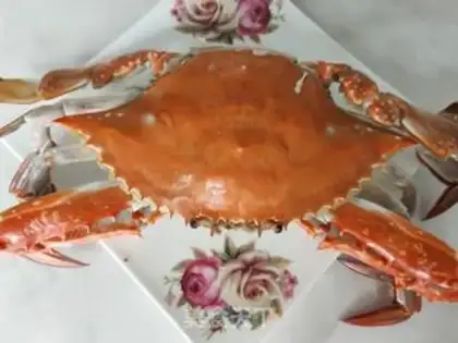 Make Crabs step 7