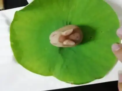 Make Ice cream step 10