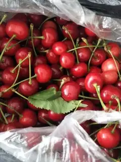 Make Cherry sugar step 0