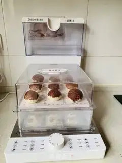 Make Simulation of mushroom packs step 7