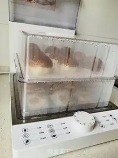 Make Homemade yogurt step 5