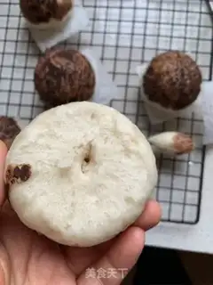Make Simulation of mushroom packs step 9