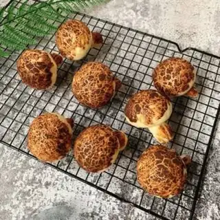 Make Simulation of mushroom packs step 10