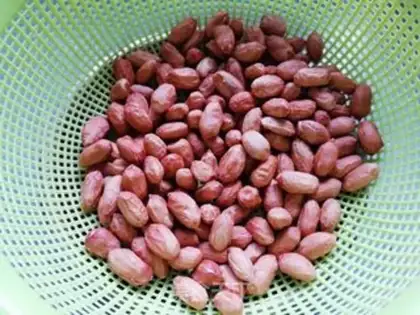 Make Peanut step 0