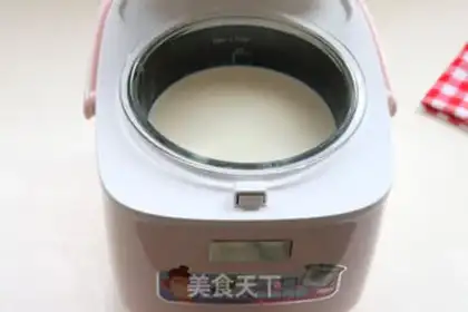 Make Homemade yogurt step 6
