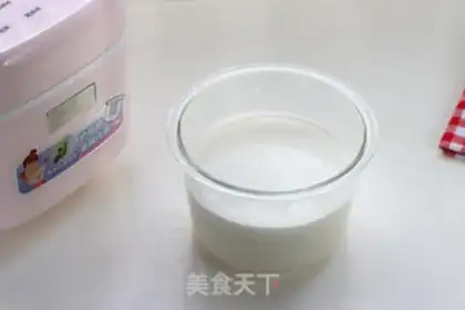 Make Homemade yogurt step 8