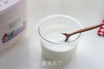 Make Homemade yogurt step 9
