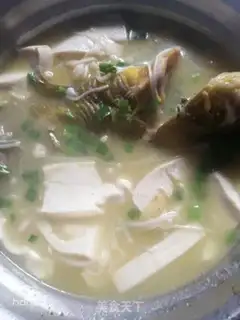 Make Yellowfish tofu soup step 8