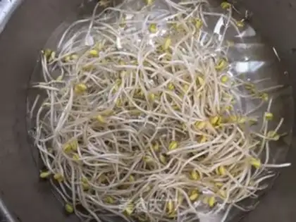 Make Green bean sprouts step 0