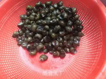 Make Red snail step 2