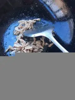 Make Sphinxed pig blood step 5