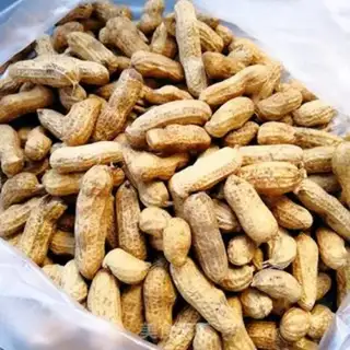 Make Salt-water peanuts step 0