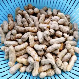 Make Salt-water peanuts step 2