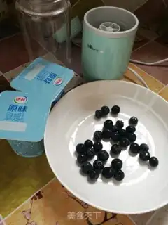 Make Blueberry milkshake step 0