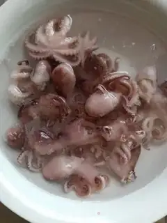 Make The octopus step 0