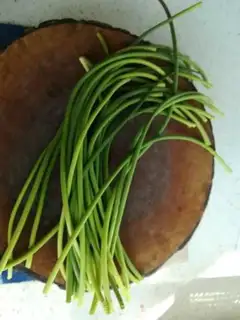 Make Weed step 0