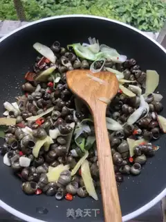 Make Snails step 1